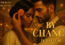 Blurb Blitz Tour: By Chance by D. Taylor